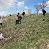 Campus Cleanup, organized by SGA