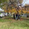 Students and staff volunteer to rake yards as part of Service to Community days. 