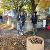 Students and staff volunteer to rake yards as part of Service to Community days. 